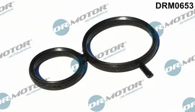 Produktbild von DR.MOTOR AUTOMOTIVE Nockenwellenversteller-Dichtung DRM0653 für BMW 3 Touring (E91)