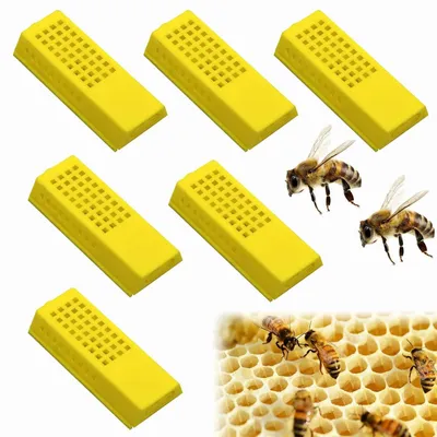 Aufzuchtbecher-Set für Bienenzucht, 6 Stück, Kunststoff