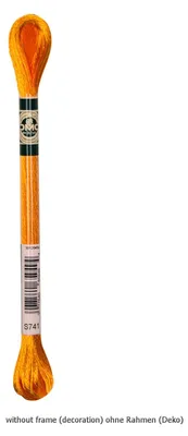 Produktbild von DMC Stickgarn Mouline Satin 1008F -741, 6-fädig, 8m