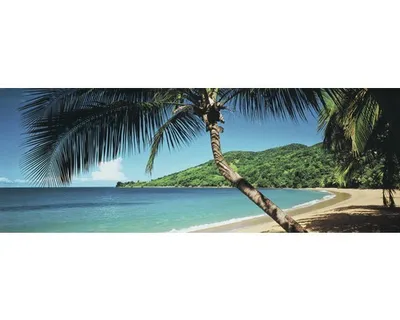 Produktbild von Fototapete Vlies 17010 Panorama Palm Beach 2-tlg. 350 x 100 cm