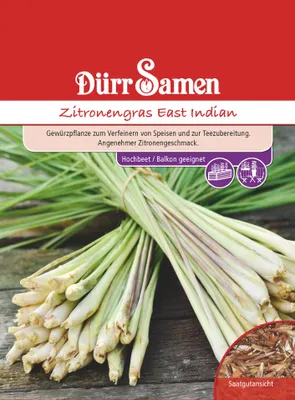 Produktbild von Zitronengras East Indian | Zitronengräsersamen von Dürr Samen
