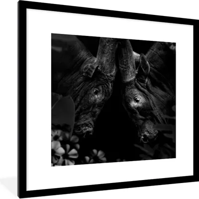 Produktbild von MuchoWow® Gerahmtes Poster Blumen - Kuh - Dschungel - Schwarz - Weiß 40x40 cm - Poster mit Schwarzem Bilderrahmen Wandposter Rahmen Foto Bilder - Poster - Plakat im Rahmen