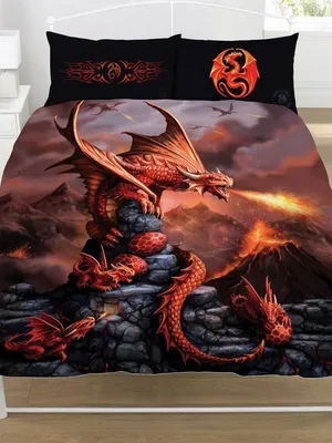 Produktbild von Anne Stokes - Bettwäsche-Set "Fire Dragon" AG1824 (Einzelbett) (Orange/Rot/Grau)
