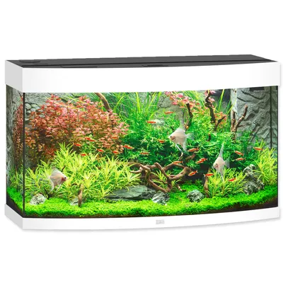 Produktbild von Aquarium JUWEL Vision 180 mit LED-Beleuchtung, Heizer, Filter ohne Unterschrank weiß