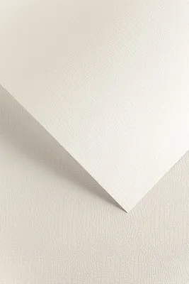 Produktbild von Borneo Dekorpapier /20 Stück/ 220g Galeria Papieru 200201 WEISS