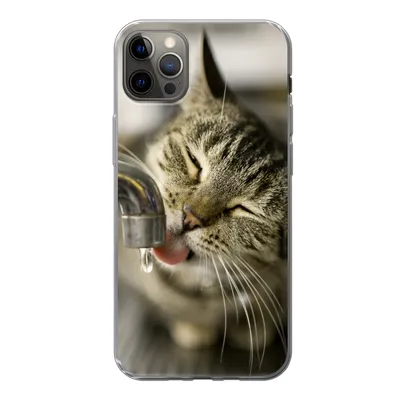 Produktbild von MuchoWow® Handyhülle Schutzhülle Hülle für iPhone 13 Pro Max Katze - Wasserhahn - Getränk Silikon Softcase Handy Hülle - Mobiltelefon