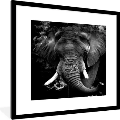 Produktbild von MuchoWow® Gerahmtes Poster Elefant - Rauch - Zähne - Schwarz - Weiß 40x40 cm - Poster mit Schwarzem Bilderrahmen Wandposter Rahmen Foto Bilder - Poster - Plakat im Rahmen