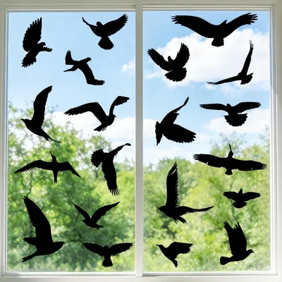 Image de Autocollants pour fenêtres, protection contre les oiseaux, 37 pièces, noirs, réutilisables, en PVC