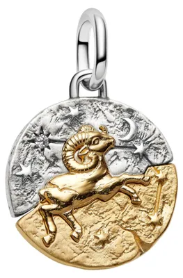 Produktbild von Pandora-Medaille, 925Er Silber 764993C01