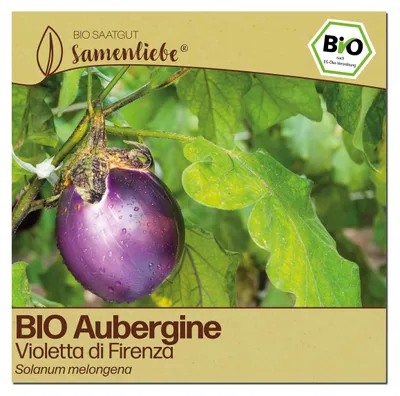 Produktbild von Samenliebe  Aubergine Samen | Violetta di Firenza - violett & rund - samenfestes  Saatgut