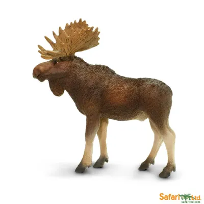 Produktbild von Safari Ltd Elchfigur Braun From 3 Years Kinder Braun From 3 Years
