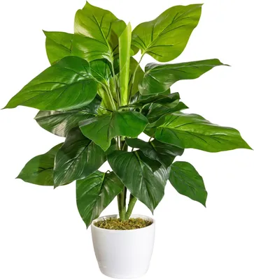 Produktbild von Kunstpflanze Philodendronbusch - Grün - weißer Keramiktopf - H 50 cm