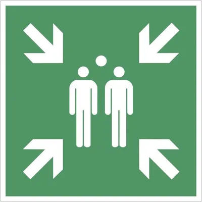 Produktbild von Dreifke® Schild Sammelstelle, ISO 7010, Kunststoff, 400x400 mm