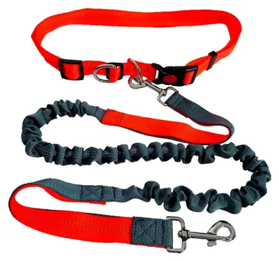 Produktbild von Freihändige Hundeleine in Orange mit verstellbarem Hüftgurt und grauer dehnbarer Bungee-Leine, Jogging-Hundeleine mit reflektierenden Nähten