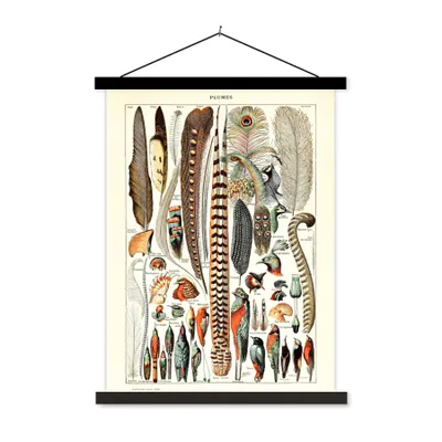 Produktbild von MuchoWow® Textilposter Federn - Tiere - Vögel 90x120 cm mit schwarzem Rahmen - Dekoration