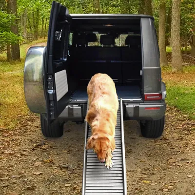 Produktbild von Auto PKW Hunderampe Einstieghilfe Anti Rutsch klappbar Grau 155x40cm bis 90Kg