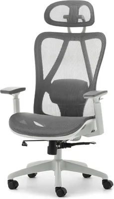 Image de Chaise de bureau DELMY - grise