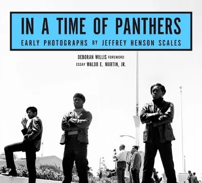 Productafbeelding van In a Time of Panthers