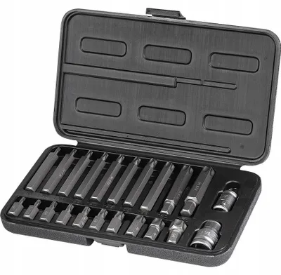 Zdjęcie produktu dla C6937 Zestaw Bitów 22 El.torx T20-T70 S2 - Richmann