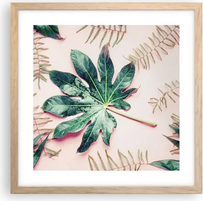 Produktbild von Gerahmtes Poster - Rahmen in heller Eiche - Blatt Tropisch Palme - 40x40 cm - Wand Bild - Wanddeko - Wandbilder - Wandposter - Bilderrahmen - Bilder - Kunstdruck - Wandbild - P2NAC40x40-4314