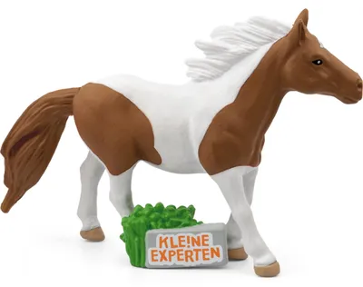 Produktbild von Boxine GmbH Tonies, Tonies KLE!NE EXPERTEN - ... galoppieren mit Pferden Sonstige
