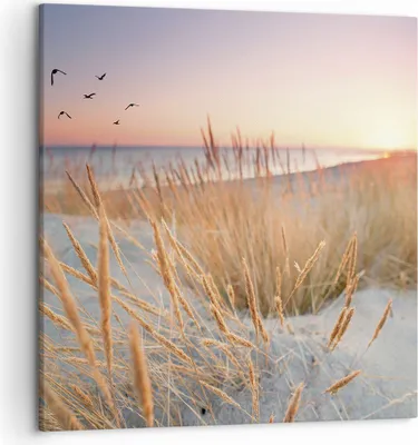 Produktbild von Bild auf Leinwand - Leinwandbild - Einteilig - Sonne Vögel Sand - 50x50cm - Wand Bild - Wanddeko - Wandbilder - Leinwanddruck - Bilder - Wanddekoration - Leinwand bilder - Wandbild - AC50x50-4810
