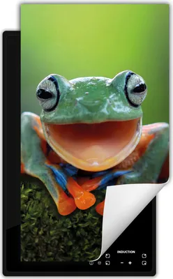 Produktbild von DarHaus Herdabdeckplatte 1 teilig 30x52 cm Anti Rutsch Matte Aufrollbar, grün - Frosch