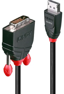 Image de Lindy 41491 câble vidéo et adaptateur 2 m DisplayPort DVI-D Noir