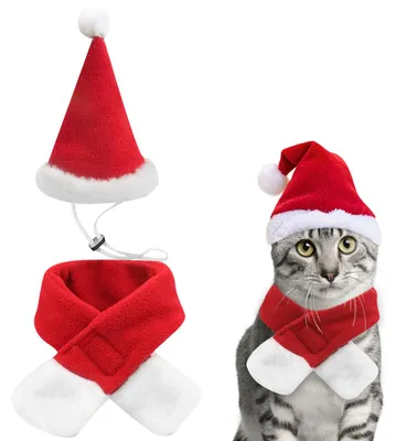 Productafbeelding van Kerstmuts en sjaal voor huisdieren, voor katten en kleine honden
