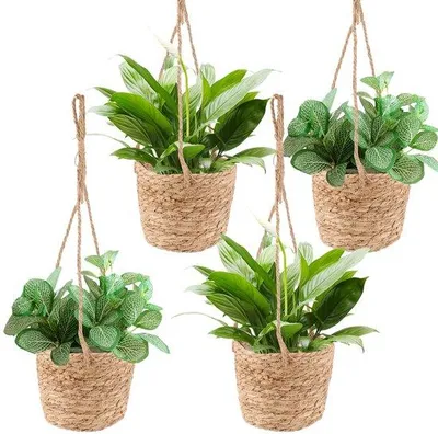 Image de Lot de 4 paniers suspendus pour plantes, en jonc de mer, tressés à la main, pour plantes succulentes
