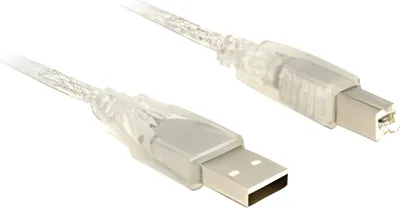Image de DELOCK Câble USB A -> B St/St 1.00m transparent