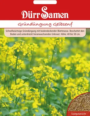 Artikelbild 1 von 'Gründüngung Gelbsenf Portionstüte 500 g' aus der Kategorie Gründünger & -düngung