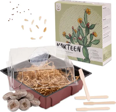 Produktbild von Kakteen Starter Kit Anzuchtset - Mini-Gewächshaus, Erde & Samen: Madagascar Palme + Tigerrachen