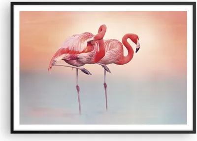 Produktbild von Gerahmtes Poster - Schwarzer Rahmen - Flamingos Exotik Vögel - 100x70 cm - Wand Bild - Wanddeko - Wandbilder - Kunstposter - Wandposter - Bilderrahmen - Bilder - Kunstdruck - P2BAA100x70-5044