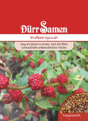 Artikelbild 1 von 'Erdbeerspinat' aus der Kategorie Spinatsamen