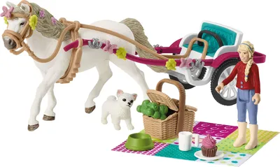 Immagine prodotto di Carrozza per mostra di cavalli