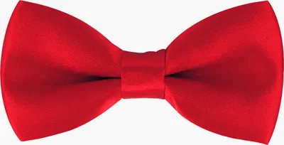 Produktbild von axy Kinderfliege, Kinder Jungen Fliege 10 x 5 cm,  bereits gebunden, verstellbar, glänzend, Seidenlook Hochzeit-Festliche Mode