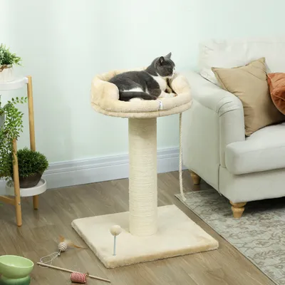 Image de Arbre à chat - Arbre à gratter avec poteau à gratter - Jouet : balle suspendue avec corde - Plateforme rembourrée - Dimensions : 55 x 55 x 83 cm - Revêtement : sisal beige