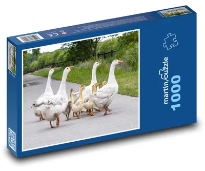 Obrázek produktu pro martinpuzzle - Puzzle 1000 - Husy na cestě
