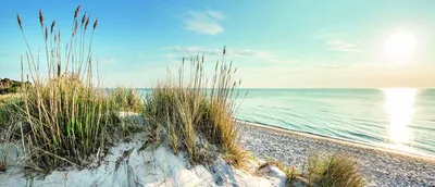 Produktbild von Leinwandbild - Motiv: Dünen, Strand & Meer - 60 x 140cm