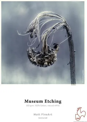 Produktbild von Hahnemühle Museum Etching FineArt Inkjet-Papier - 350 g/m² - 44" x 12 m - 1 Rolle