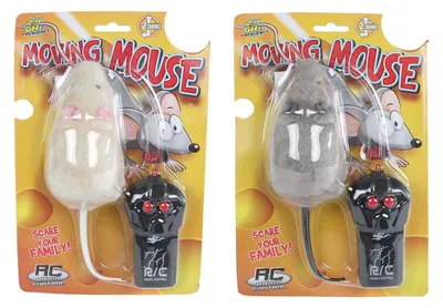 Image de Souris jouet télécommandée Van Manen RC, 15 cm - souris télécommandée