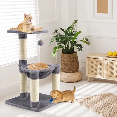 A cat tree with two cats in a well-lit room with a plant and furniture.