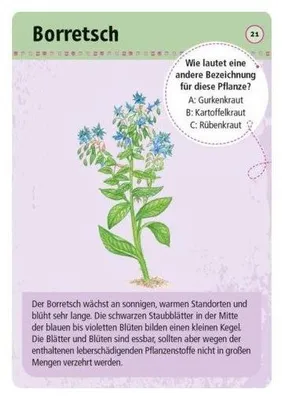 Produktbild von Expedition Natur 50 essbare Wildpflanzen