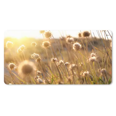 Produktbild von MuchoWow® Schreibtischunterlage Pflanzen - Natur - Blumen - Sonne - Horizont 80x40 cm - XXL Mauspad - Gaming Mauspad