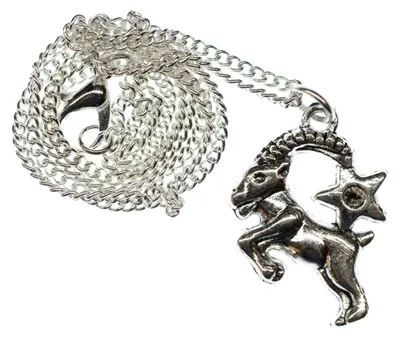 Produktbild von Steinbock Stern Kette Halskette Miniblings 45cm Sternzeichen Sternbild Horoskop