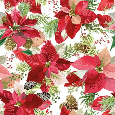 Immagine prodotto di PAPSTAR 88178 PAPSTAR Weihnachts-Motivservietten "Winter Poinsettia"