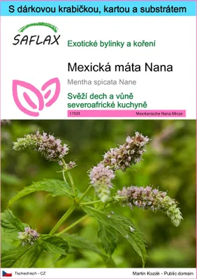 Obrázek produktu pro SAFLAX Dárková sada - Mexická máta Nana - Mentha spicata Nane - 500 Semena - S dárkovou krabičkou, přepravním štítkem, dárkovou kartou a pěstebním médiem
