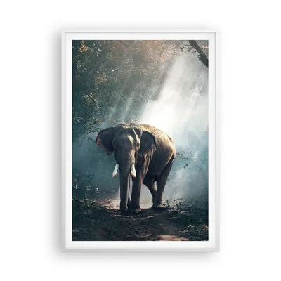 Produktbild von Gerahmtes Poster - Weißer Rahmen - elefant natur - 70x100 cm - Wand Bild - Wanddeko - Wandbilder - Kunstposter - Wandposter - Bilderrahmen - Bilder - Kunstdruck - Wandbild - P2WPA70x100-3972