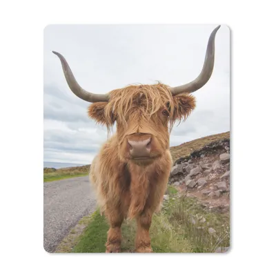 Produktbild von MuchoWow® Mauspad Mousepad Schottischer Highlander - Hörner - Berg 30x40 cm - Mousepads - Maus Mat - Pad - Mausunterlage - Mausmatten